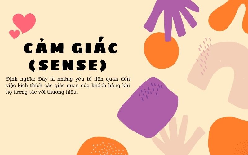 Yếu tố cảm giác (Sense) trong Brand Experience