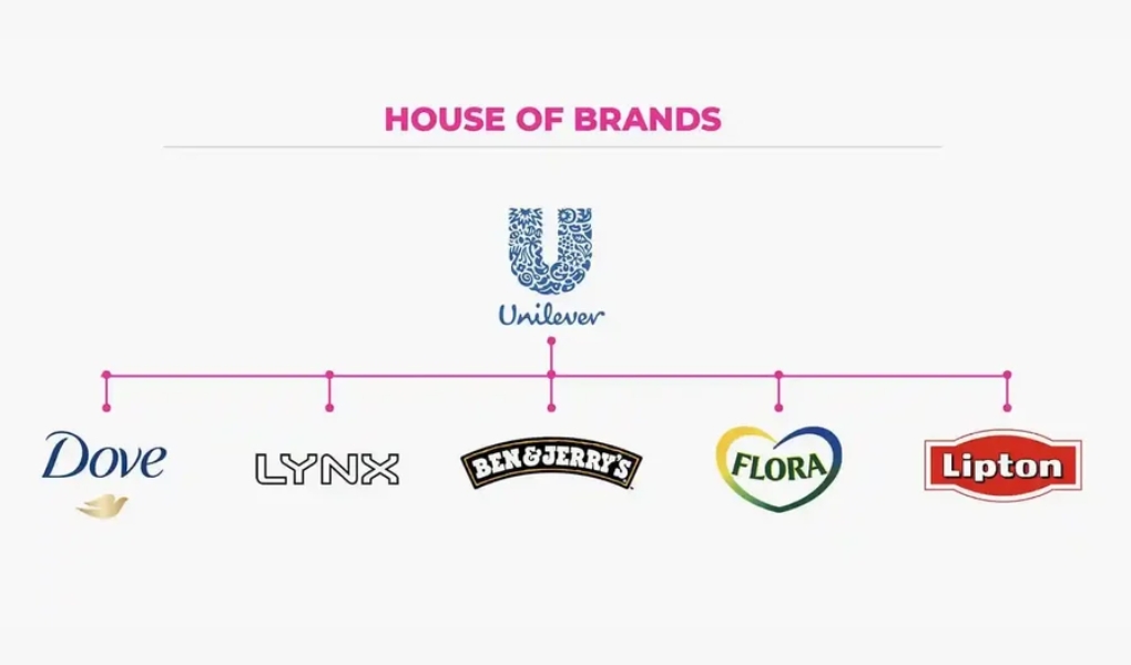 Tham khảo cấu trúc thương hiệu House of Brand của Unilever.