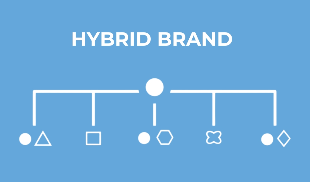 Tham khảo cấu trúc thương hiệu Hybrid Brand.